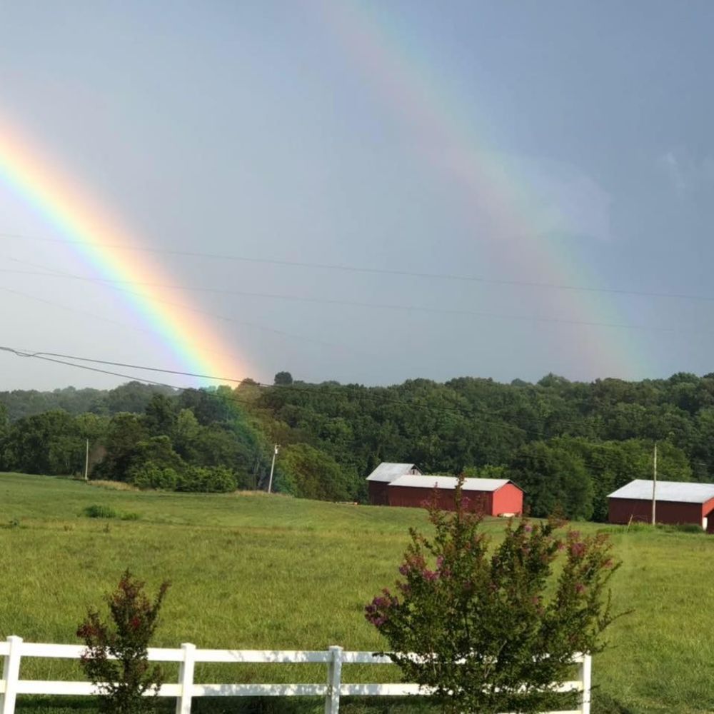 Meet your Posher, Penny